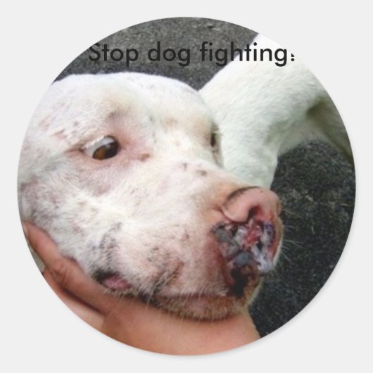 Combat de chien d'arrêt ! autocollants (Devant)