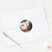 Combat de chien d'arrêt ! autocollants (Enveloppe)