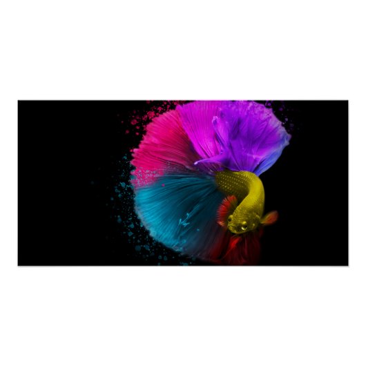 Combat Fish - Poster Perfect Poster (Voorkant)