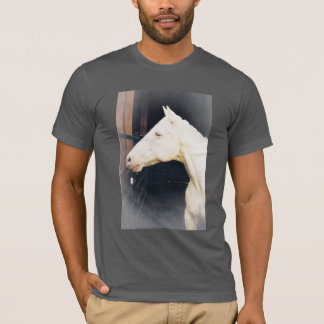 Combattre Rocky Combattre T-Shirt Homme