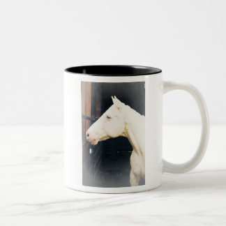 Combattre Rocky Fight Mug