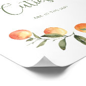 Combien de Cuties sont dans le pot Poster (Coin)