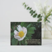 Combien Vous Aimez La Carte Postale (Debout devant)