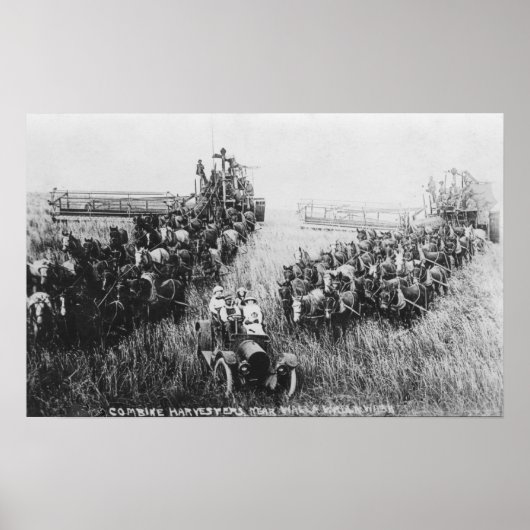 Combineer Harvester Scene Poster (Voorkant)