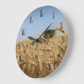 Combineren in Wheat field Grote Klok (Hoek)