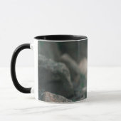 Combo Mug (Gauche)