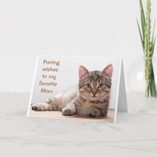 *COMEDIC CAT* VOOR MIJN *MOM'S* BIRTHDAY-KAART KAART (Voorkant)