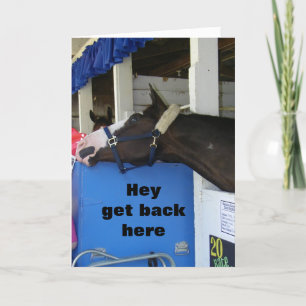 COMEDIC HORSE ZEGT: "GELUKKIGE VERJAARDAG" KAART