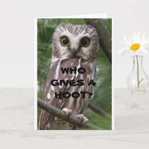 * COMEDIC OWL* BIRTHDAY* HUMOR KAART