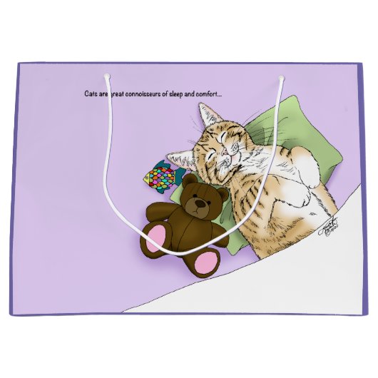 Comfort Cat Paarse deken Groot Cadeauzakje (Voorkant)