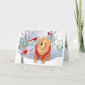 COMFORT- EN JOY-kaarten voor gladde kaarten (Voorkant)