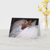 Comfort van Alfie Kaart (Gele Bloem)