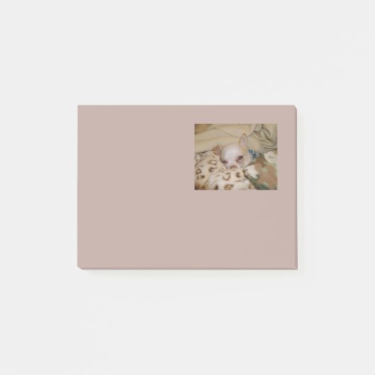 Comfy Chihuahua-notities Post-it® Notes (Voorkant)