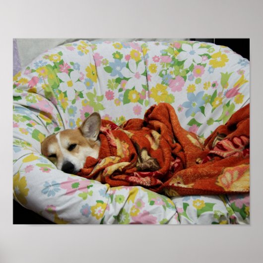 Comfy Corgi-Poster Poster (Voorkant)