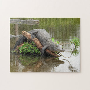 Comfy Cozy Gator Puzzle Legpuzzel