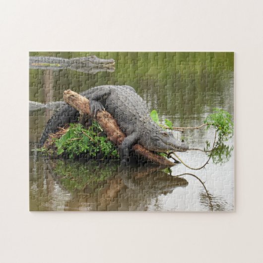 Comfy Cozy Gator Puzzle Legpuzzel (Horizontaal)