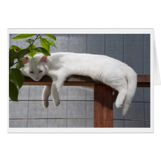 Comic Kitten, lege kaartserie