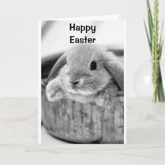 COMICAL BUNNY DIT **HAPPY EASTER** CARTE DE VACANC (Devant)