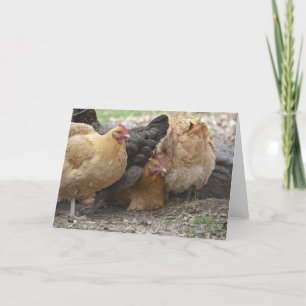 Comical Chicken Notecard Kaart