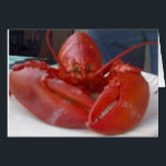 COMICAL LOBSTER JOKES BUT SAYS "HAPPY BIRTHDAY"<br><div class="desc">THIS POOR GUY HAD "ONE THING" ON HIS MIND AND THAT WAS TO WISH YOUR FRIEND OR FAMILY MEMBER A **HAPPY BIRTHDAY**!!!!! WE REALLY DID ENJOY HIM THOUGH. THANKS FOR STOPPING BY ONE OF MY EIGHT STORES!!!!</div>