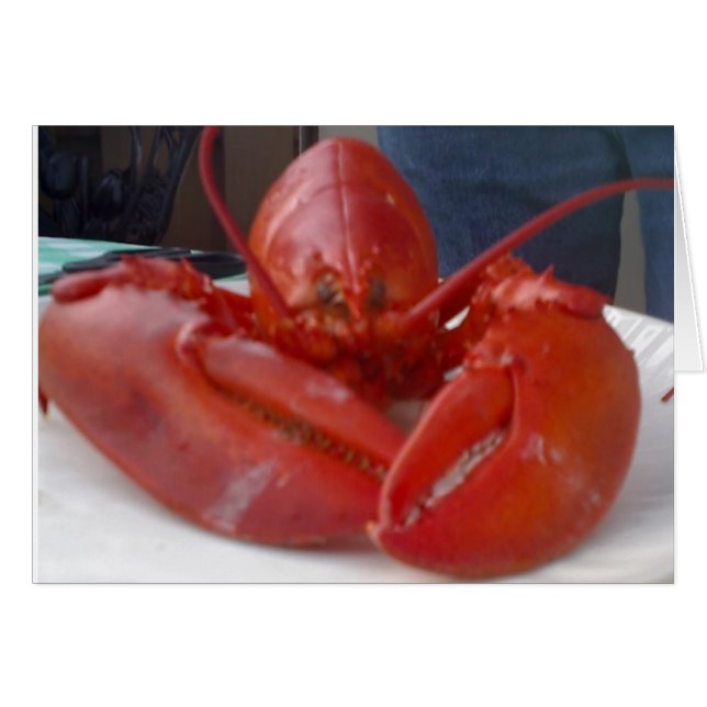 COMICAL LOBSTER JOKES BUT SAYS "HAPPY BIRTHDAY" (Devant horizontal)
