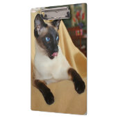 Comical Seal Point Siamese Cat Licking it's Nose Klembord (Links)