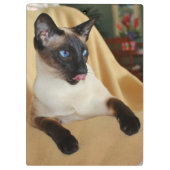 Comical Seal Point Siamese Cat Licking it's Nose Klembord (Achterkant)