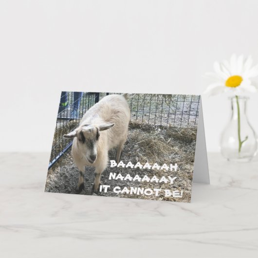 COMICAL SHEEP WEET NIET DAT U "DIE OUDE" WAS KAART (Kleine Plant)