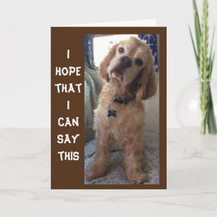 **COMIDIC SPANIEL" GEHEUGENDE "70e" BIRTHDAY-kaart Kaart