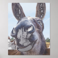 Comische Grijze Glimlachende Ezel