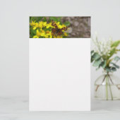 Comma Butterfly in Glacier National Park Briefpapier (Staand voorkant)