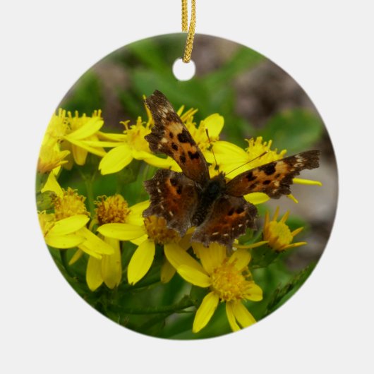 Comma Butterfly in Glacier National Park Keramisch Ornament (Voorkant)