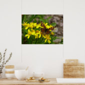 Comma Butterfly in Glacier National Park Poster (Keuken)