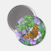 Comma Butterfly Magneet (Voorkant / Achterkant)
