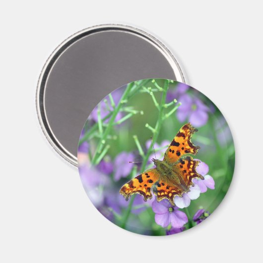 Comma Butterfly Magneet (Voorkant / Achterkant)