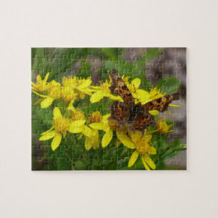 Comma vlinder in Glacier National Park Legpuzzel