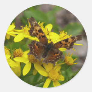 Comma vlinder in Glacier National Park Ronde Sticker