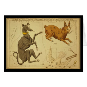Commandant de Canis, Lepus, Columba Noachi Cela