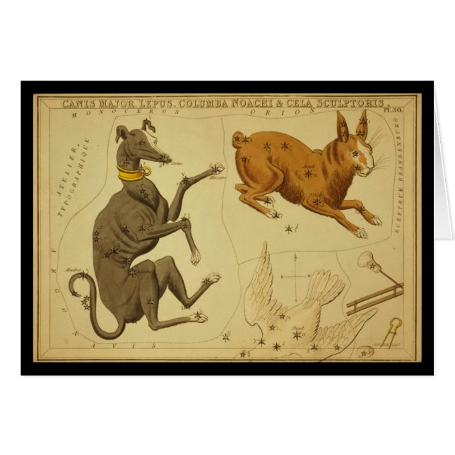Commandant de Canis, Lepus, Columba Noachi Cela (Devant horizontal)