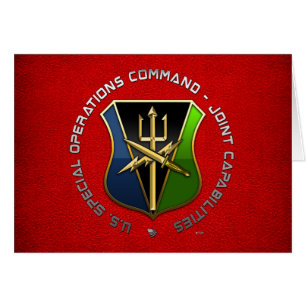 Commandement des opérations spéciales - Capacités