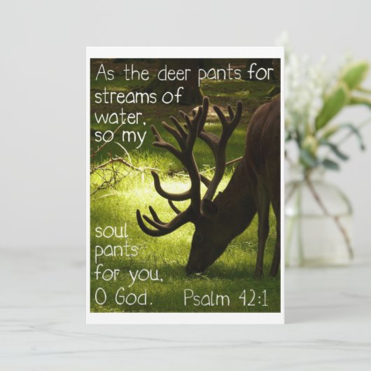 Comme invitation de cerfs communs (Debout devant)