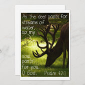 Comme invitation de cerfs communs (Devant / Derrière)