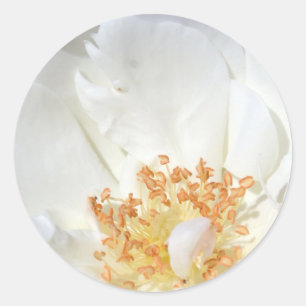 Comme un Sticker 2 rond en plume