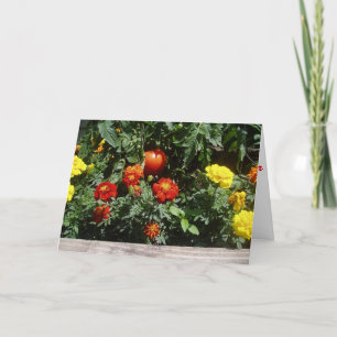 "Comme Une Boule En Caoutchouc Rouge" Carte De Bie