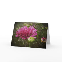 Commencer encore la carte de voeux