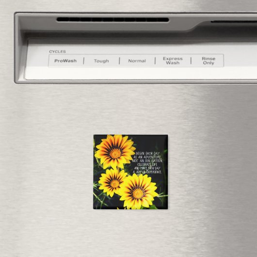 Commencez chaque journée comme aimant aventure (In Situ (Lave-vaisselle))