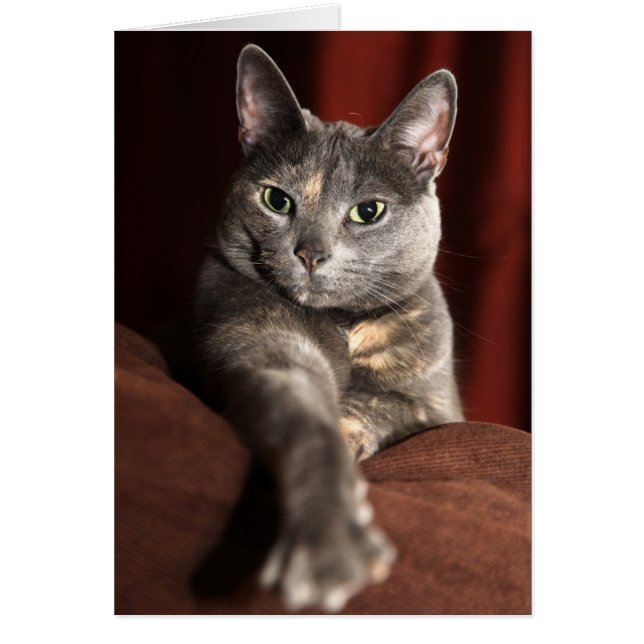 Comment avez-vous été ? (Devant)