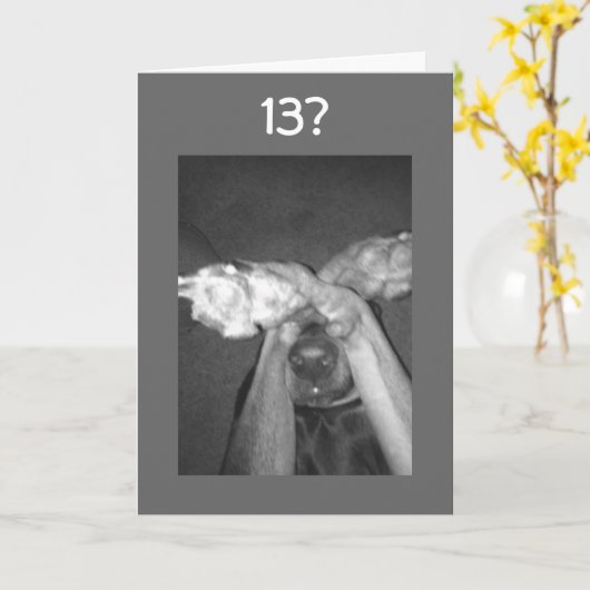 COMMENT AVEZ-VOUS FAIT "13" SI TÔT DE CARTE D'ANNI (Fleur jaune)