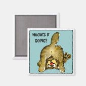 Comment ça va ? Aimant de chat mignon (Recto/Verso)