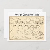 Comment dessiner des grenouilles Carte postale Vin (Devant / Derrière)